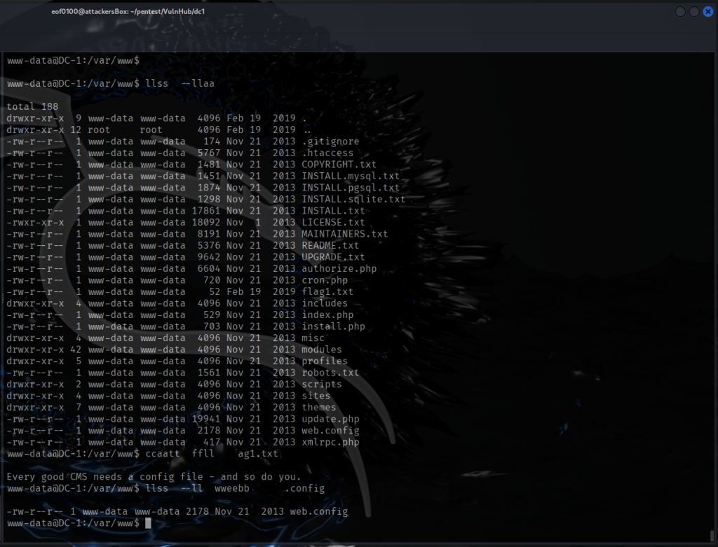Vulnhub dc1 flag1.txt